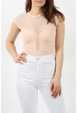 Nude Mesh Net Plunge Bodysuit