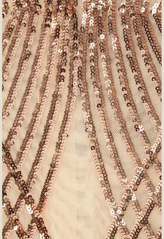 Rose Gold Mesh Sequin Mini Bodycon Dress